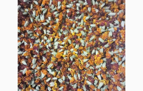 Продается сухие цветы чернобривцев темного цвета