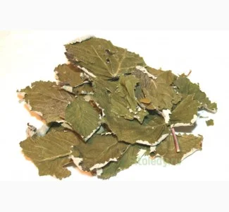 Листья малины – натуральный лекарственный состав