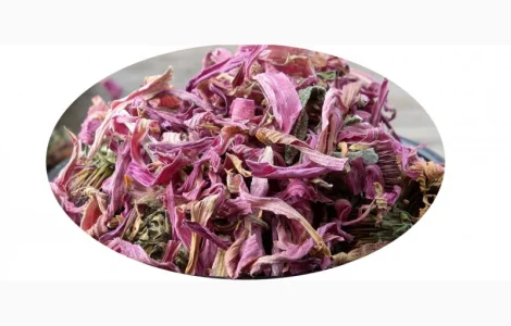 Ехінацея пурпурна (квітка) 1кг у продажу