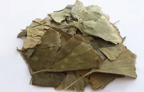 Гінкго білоба (листи) 1 кг у продажу