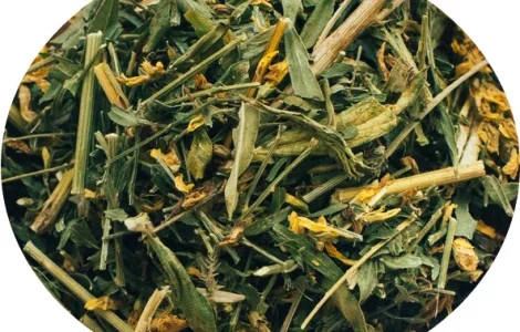 Дрок красильный (трава) 1кг – лечебное сырье