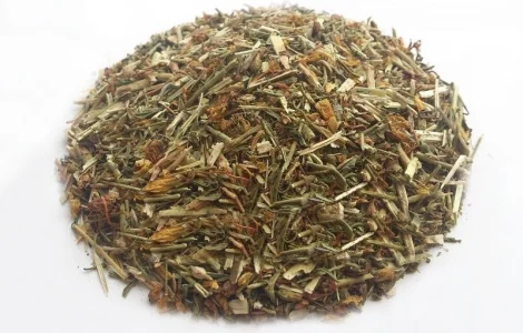 Звіробій (трава) 1кг - лікувальна рослина