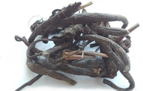 Кровохлебка (корневище) 1 кг – лекарственное растение