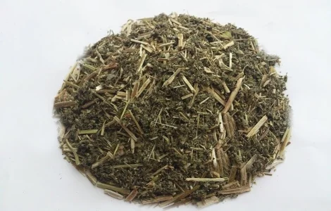 Лабазник вязолистний (таволга) 1кг – лікарська рослина