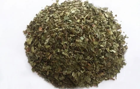 Лещина обыкновенная (листья) 1 кг - лечение и укрепление здоровья