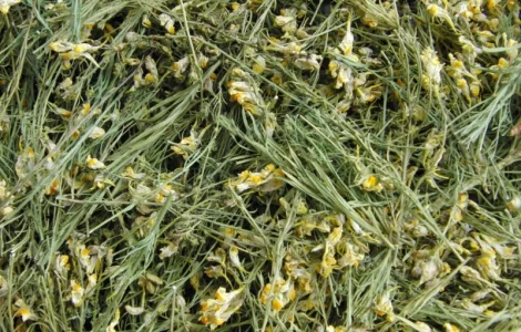 Льнянка обыкновенная (трава) 1 кг - лечебные свойства