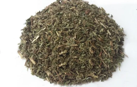 Мелисса (трава) 1кг – лечебные свойства