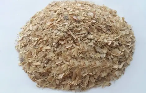 Фасоль створки