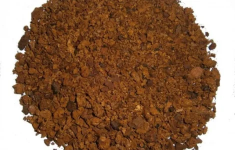 Чага подрібнена – природний гриб для здоров'я