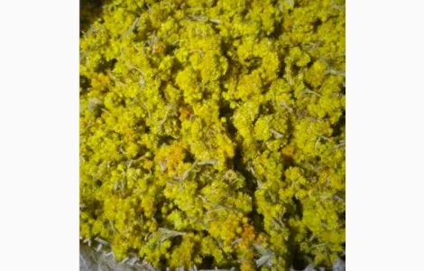 Продається безсмертник (цмін піщаний)