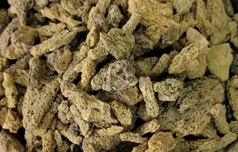 Куплю Бадягу
