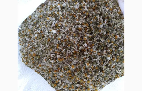 Ромашка лекарственная для продажи