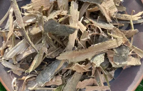 Кора дуба