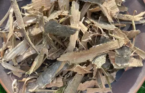 Кора дуба