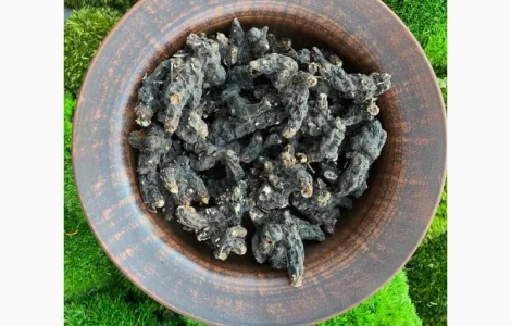 Продам сухой корень калгана