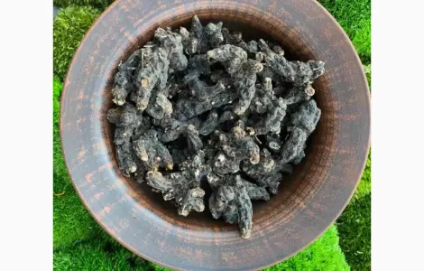 Продам сухой корень калгана