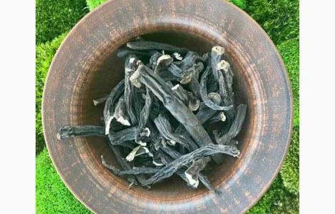 Продаю корінь живокіста