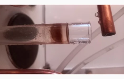 Гідролати хвойних рослин (ялівець)