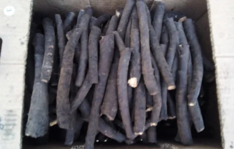 Корень живокоста – окопника по выгодной цене