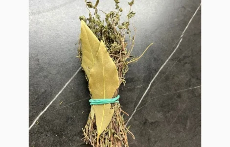 Культивований чебрець (Thymus vulgaris)