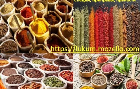Пряности специи приправы Перец Корица Куркума Зира Имбирь Томаты Карри Мускатный орех