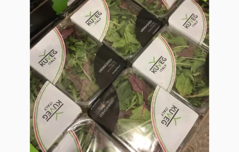 Зелень оптом. Ассортимент