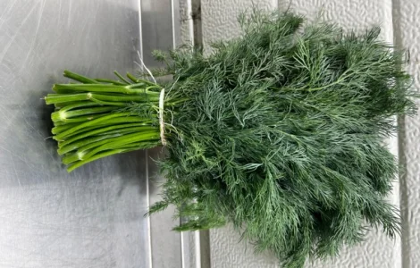 Укроп петрушка