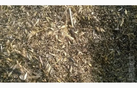 Продам отходы Укропа