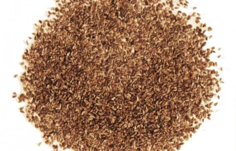 Продам семена Петрушки молотые