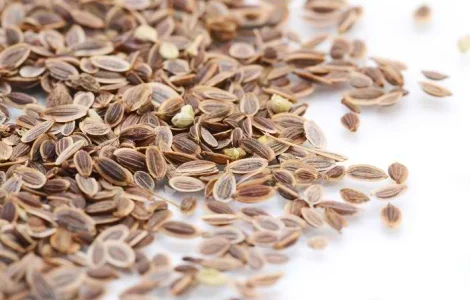 Продам качественные семена Укропа