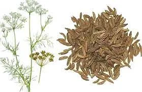 Оптовая поставки