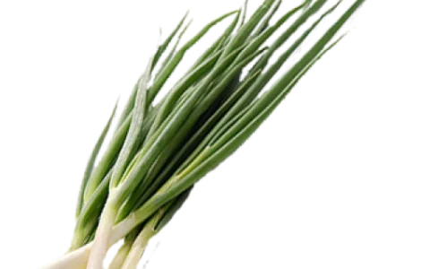 Цибуля зелена
