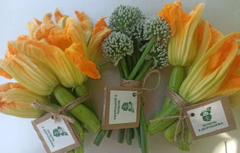 Продаж зелені: квіти цукіні 2023