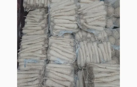 Продам петрушку из Польши