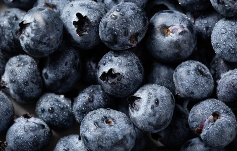 Ягода лохини, голубики