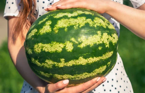 Продам КАВУН оптом з поля