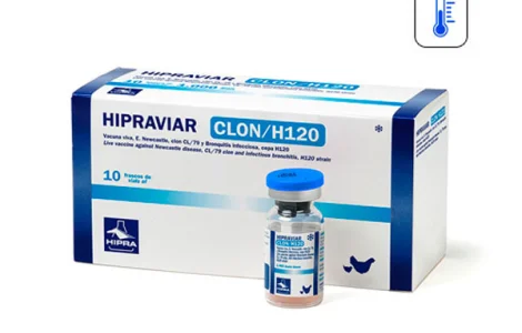Вакцина Ла-Сота Ньюкасла ХИПРАВИАР-CLON/H120