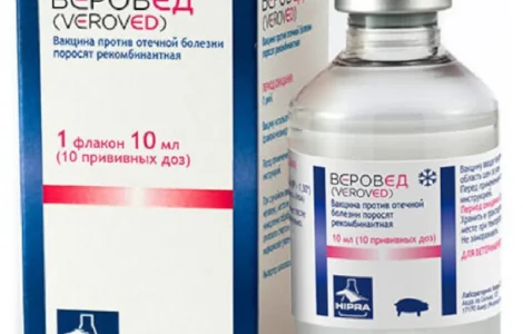 ВакцинаВерознавець від набрякової хвороби поросят