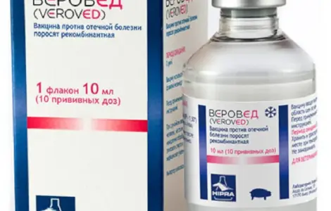 ВакцинаВерознавець от отечности у поросят