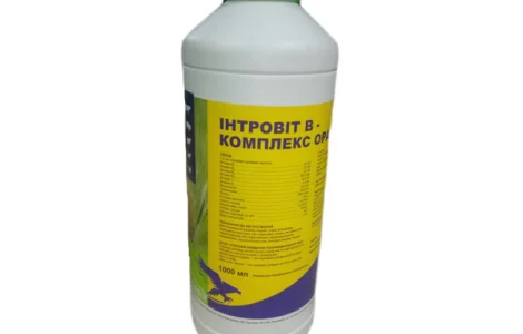 Інтровіт В – комплекс вітамінів оральний 1 л