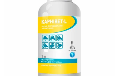 Карнівет-L 1 л Ветсинтез