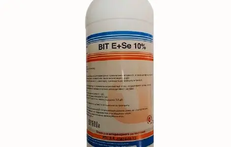 Витамин Е+Se 10% 1 л Биофарм