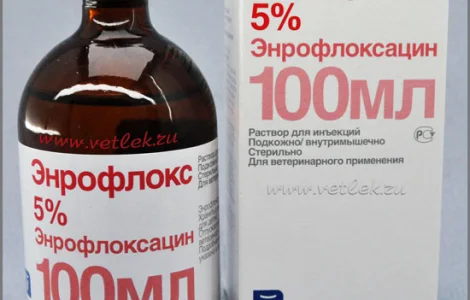 Енрофлокс 5%, 100 мл