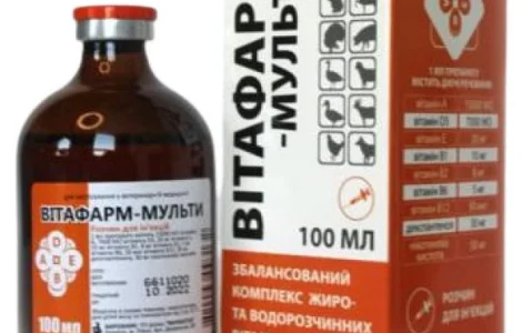 Вітафарм мульти (АДЕ + група В), 100 мл