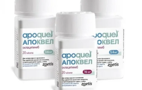 Апоквель (Apoquel)