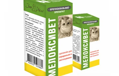 Мелоксивет суспензія, 10 мл