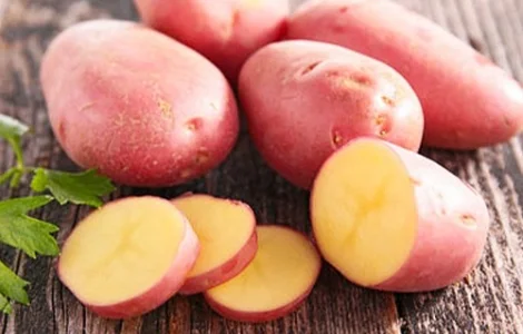 Насіння картоплі Діва (насіння)