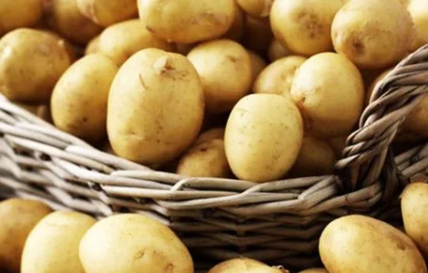 Насіння картопля Фермер