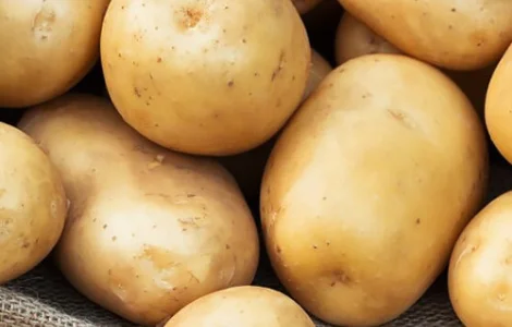 Насіння картоплі Реванш (насіння)