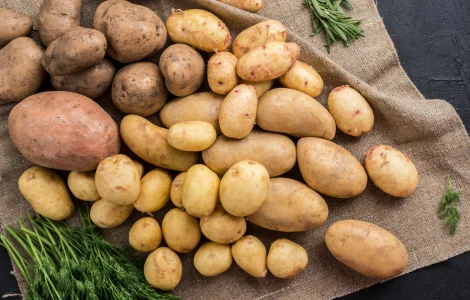 Картопля Сільвана (бульби/насіння)